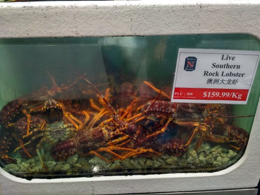 IMG_20170102_135814_HDR