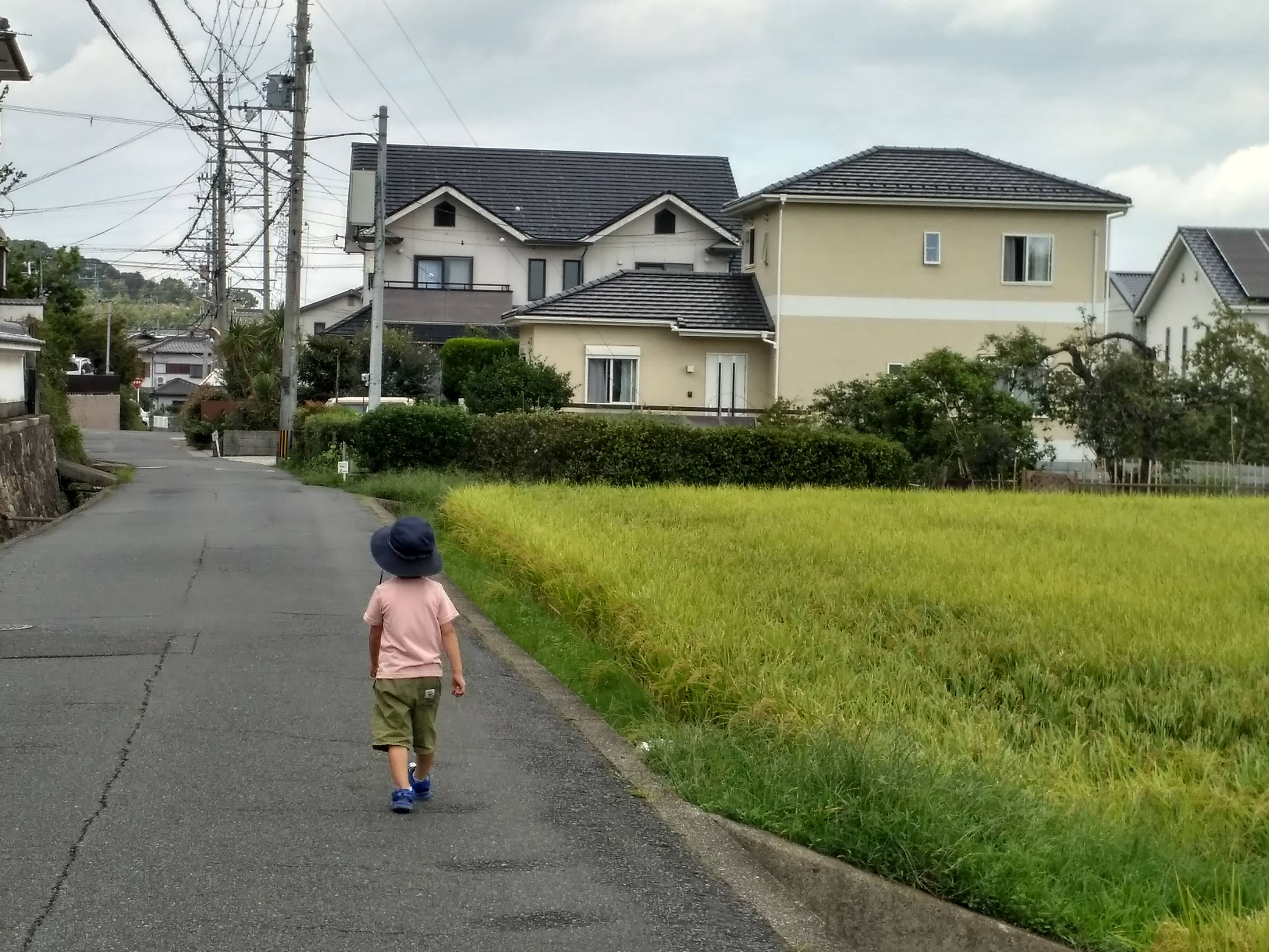 IMG_20180916_110037_HDR